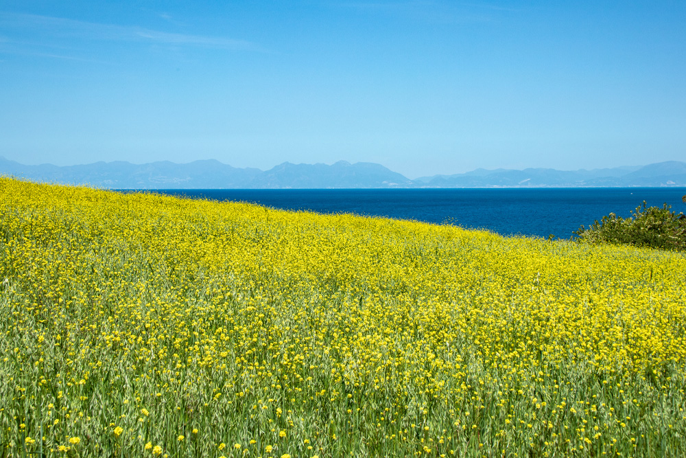 Turismo e agroalimentare: come comunicare con successo